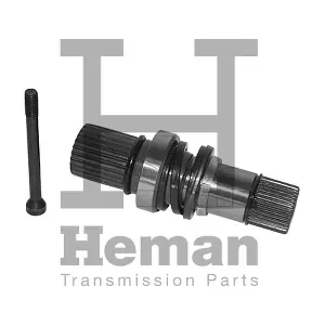 TT10008 HEMAN