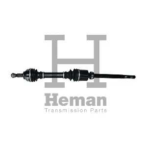 HEMAN TD77650