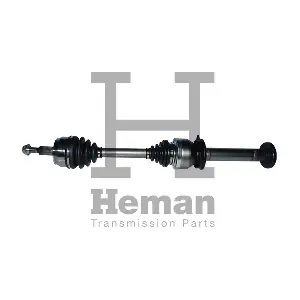 TD73390 HEMAN