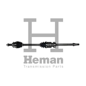 HEMAN TD78040