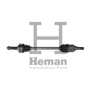 TD77970 HEMAN