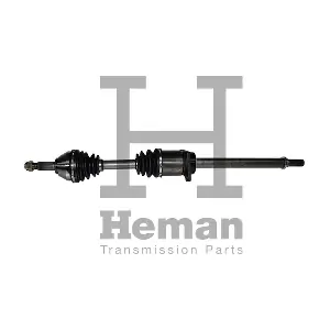 TD77710 HEMAN