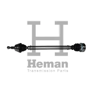 TD70030 HEMAN