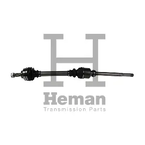 HEMAN TD71980