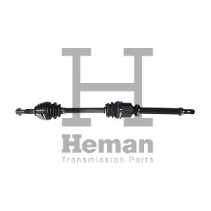 HEMAN TD72810
