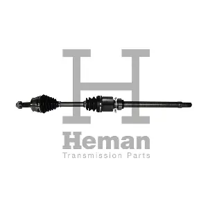 TD77950 HEMAN