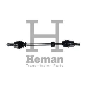 HEMAN TD77890