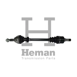 TD70710 HEMAN