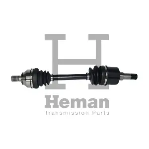 HEMAN TD82970