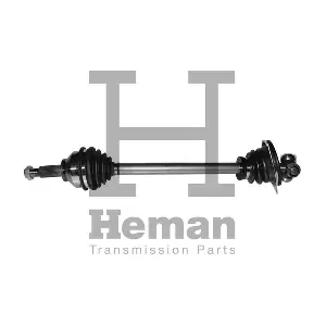 HEMAN TD71520