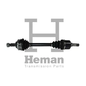 TD71010 HEMAN