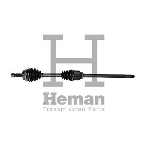 TD76530 HEMAN
