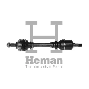 TD71960 HEMAN