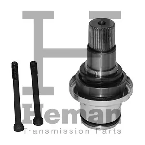 TT10003 HEMAN