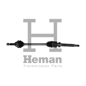 TD71240 HEMAN