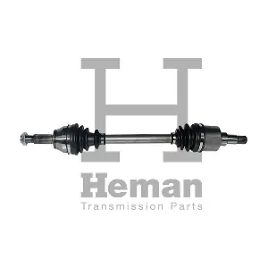 HEMAN TD71220
