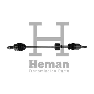 TD77930 HEMAN