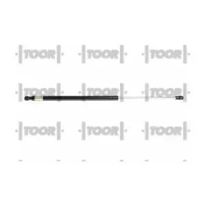 SX41395 TOOR