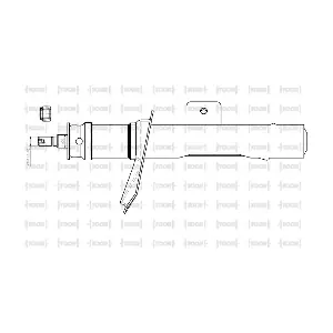 SG11701 TOOR