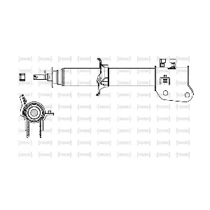 SG10661 TOOR