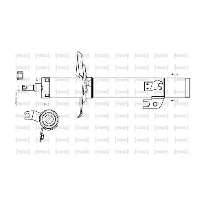 SG11371 TOOR