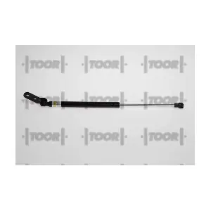 SX41096 TOOR