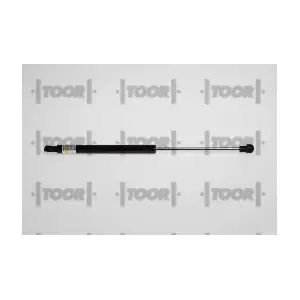 SX40536 TOOR