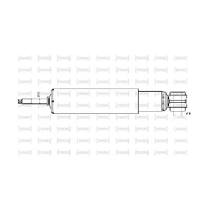 SG12620 TOOR