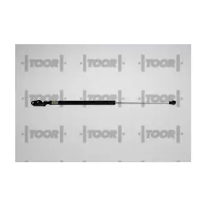 SX41290 TOOR