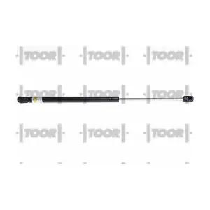 SX41346 TOOR