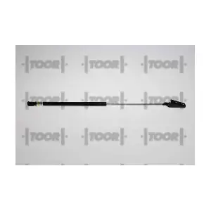 SX41019 TOOR