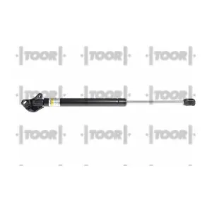 SX41068 TOOR
