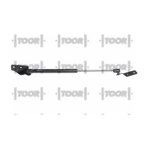 SX41294 TOOR