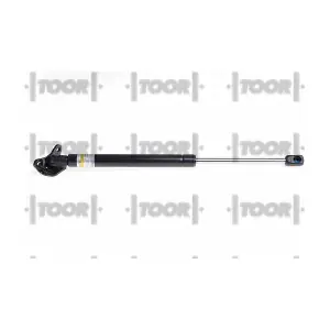 SX41067 TOOR