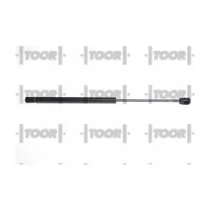 SX41061 TOOR