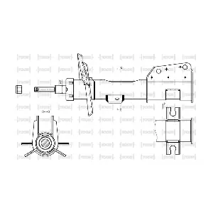 SG10730 TOOR