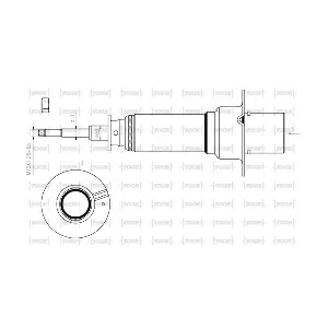 SG12080 TOOR