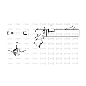 SG10840 TOOR