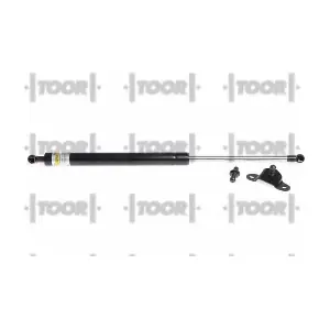 SX41006 TOOR