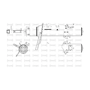 SG11330 TOOR
