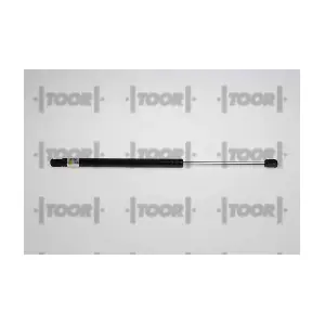 SX41481 TOOR