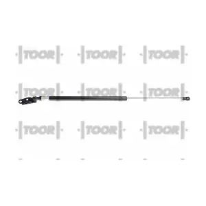 SX41285 TOOR