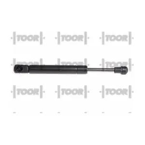 SX41756 TOOR