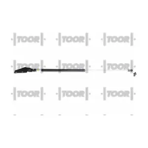 SX41576 TOOR