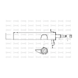 SG13980 TOOR