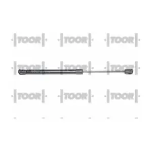 SX41819 TOOR