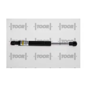 SX40748 TOOR