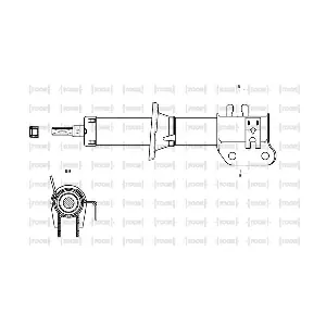 SG11461 TOOR