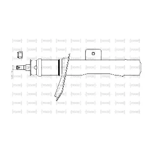 SG11661 TOOR