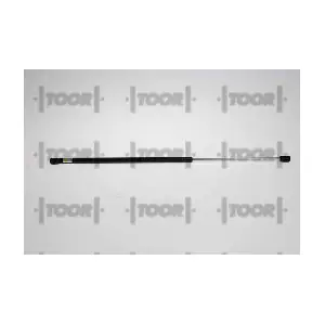 SX41313 TOOR
